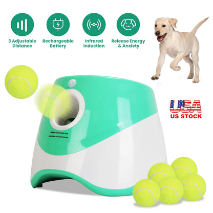 Automatic Dog Ball Launcher