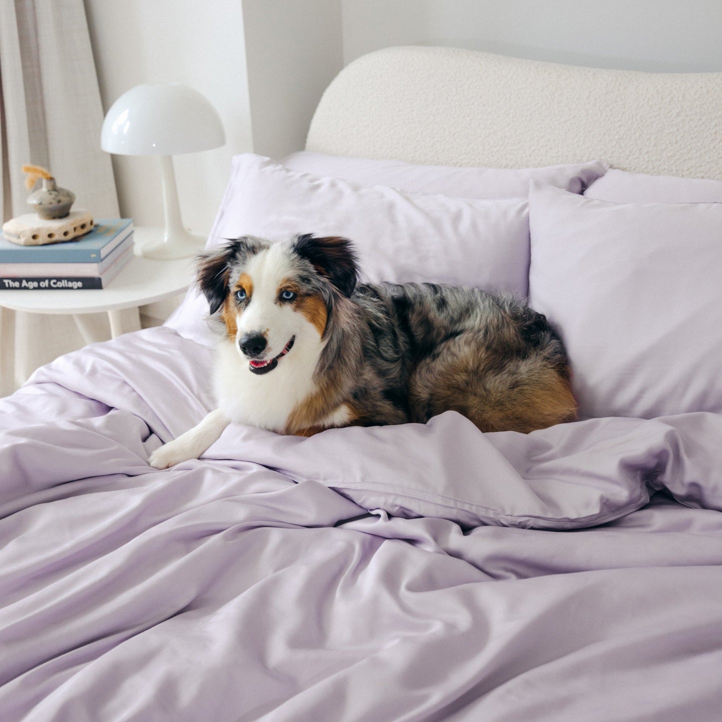 Organic Bamboo Sateen Duvet Cover Set