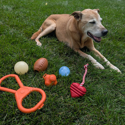 Tug of war dog toy