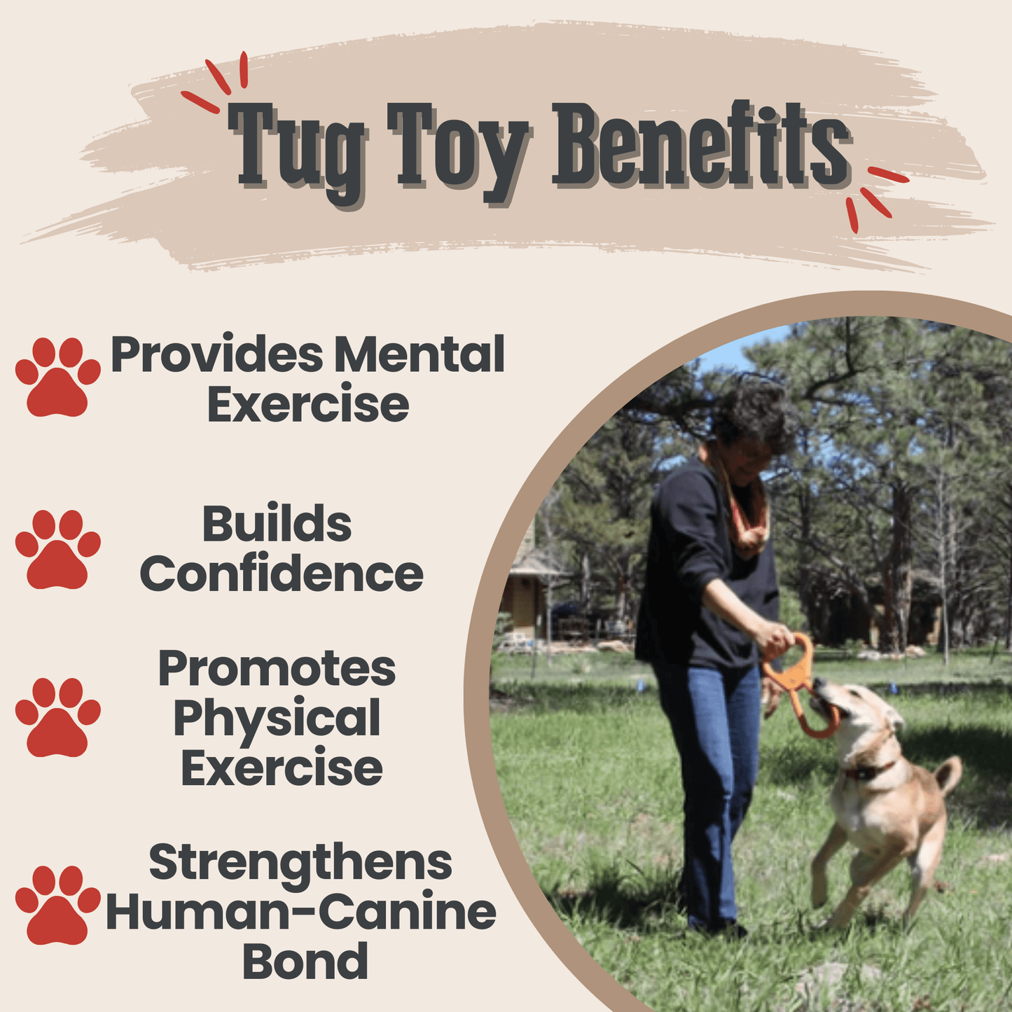 Tug of war dog toy