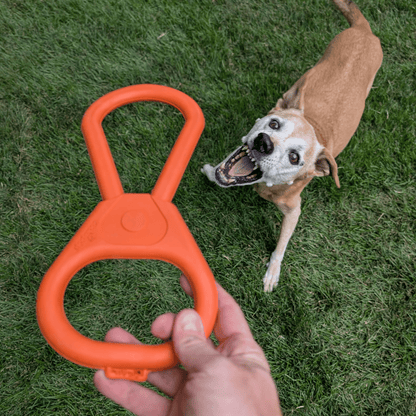 Tug of war dog toy