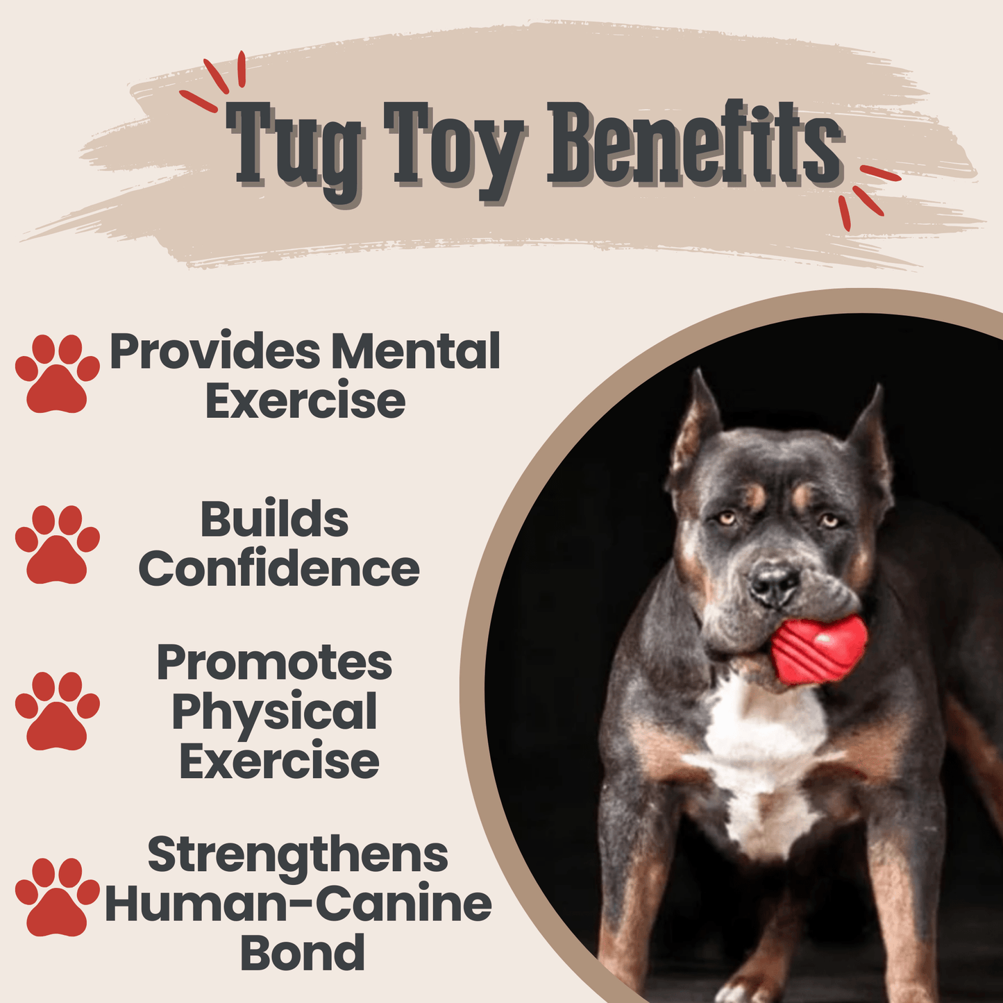 Tug of war dog toy