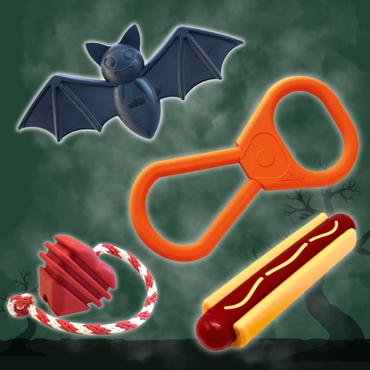 Tug of war dog toy