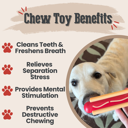 Tug of war dog toy